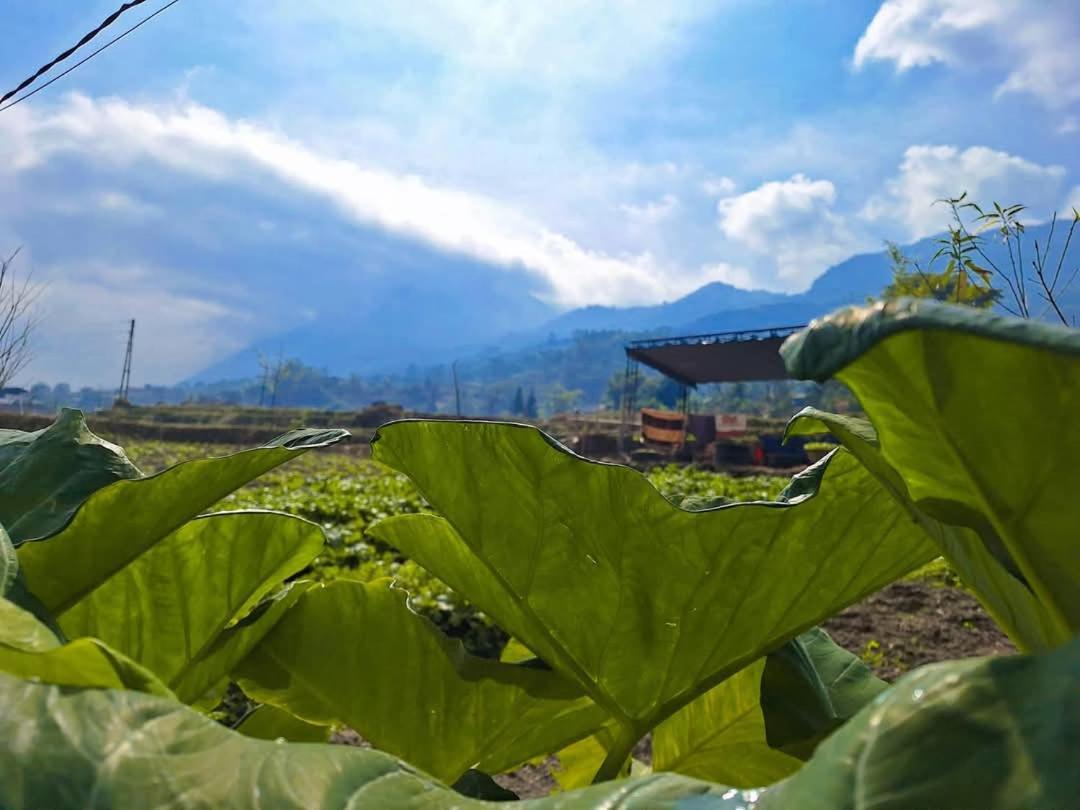 Sapafamily Eco Villa Ngoại thất bức ảnh